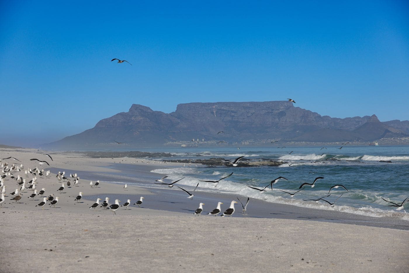 Table Mountain across the bay, seen from the beach at Bloubergstrand
